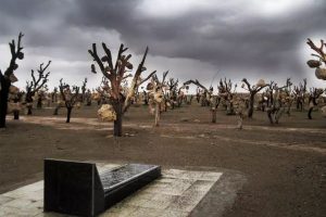 ۲۰ نقطه ترسناک ایران؛‌ سفر با طعم وحشت و هیجان