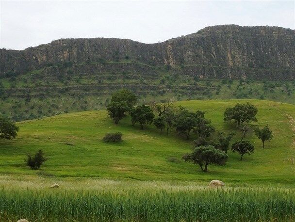 در سفر به باشت از کجا دیدن کنیم؟