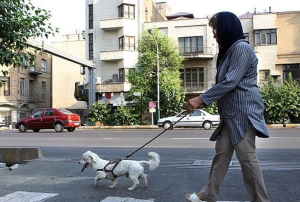 هزینه ماهیانه نگهداری سگ‌ها برابر هزینه تحصیل ۱۴ دانش‌آموز