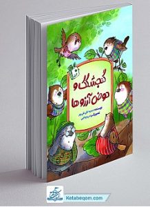 «گنجشکک و حوض آرزوها» با موضوع مهدویت به کتابفروشی‌ها رسید