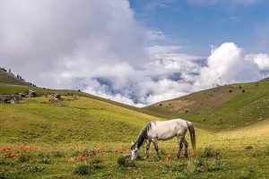 سوباتان؛ ییلاقی خیال انگیز در ارتفاعات تالش گیلان