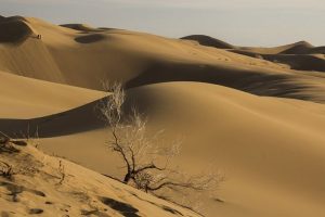 کویر حلوان طبس؛ برخوردگاه ریگ و کوه