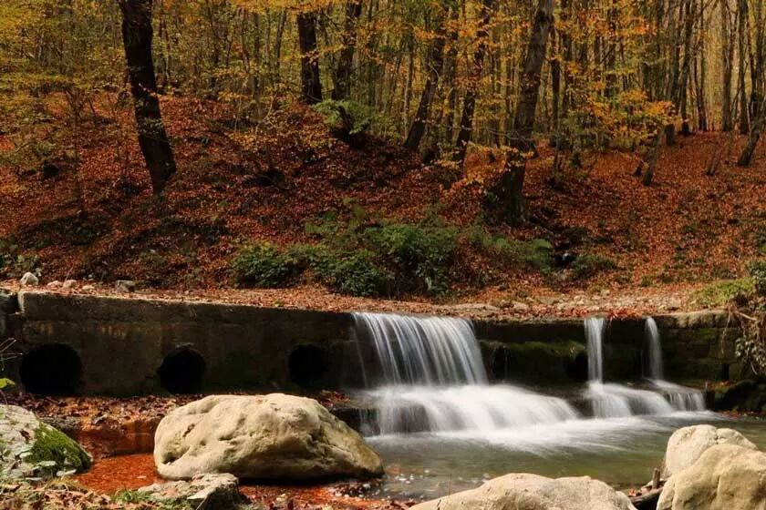 جنگل سنگده، بهشت پاییزی در قلب مازندران