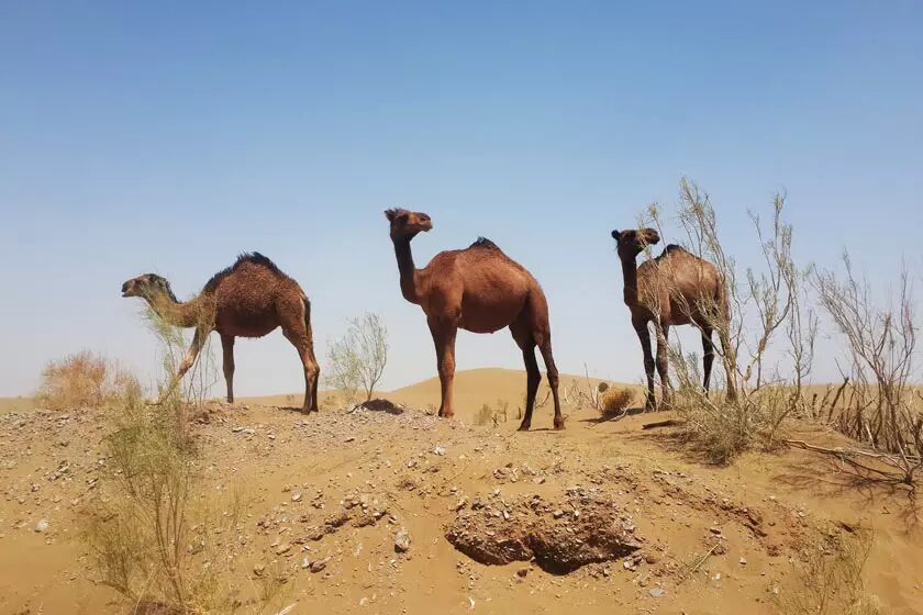 "کویر مصر" اصفهان